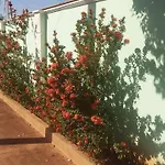 Casa de temporada Olímpia/SP - Jardim Glória (próximo ao Thermas)